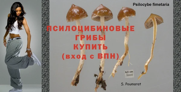 Альфа ПВП Балабаново