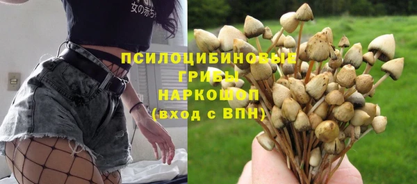 Альфа ПВП Балабаново