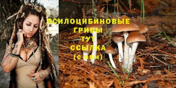 трава Баксан