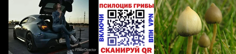 купить наркотики цена  Реж  shop состав  Псилоцибиновые грибы Psilocybine cubensis 